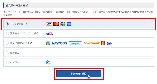 お支払い手順（クレジットカード決済） | 法人向けレンタルサーバー 